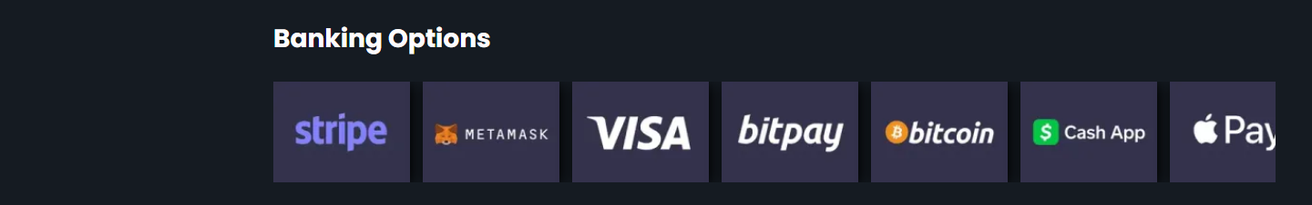 Remsen "Banking Options" på rocky.casino: en rad betalingslogoer uten tekst under overskriften